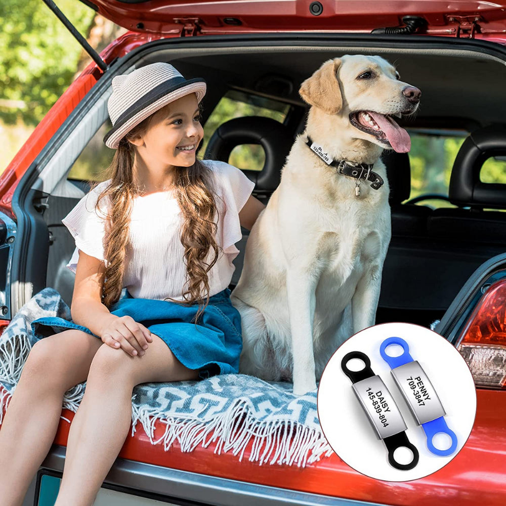 🔥50% OFF Sale: Pawsome Collar & ID Tag Combo