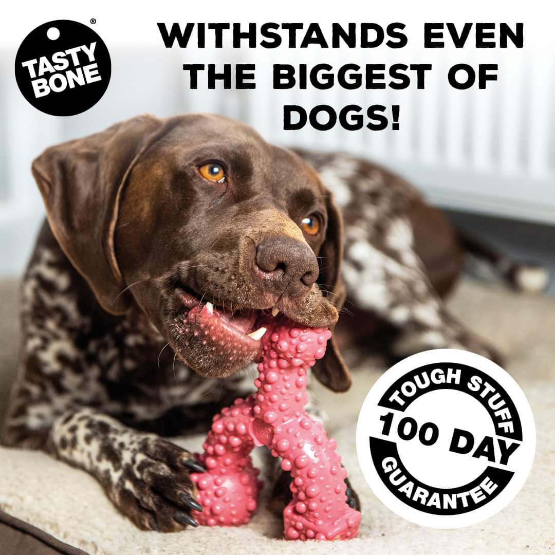 Tag toy shop for dogs