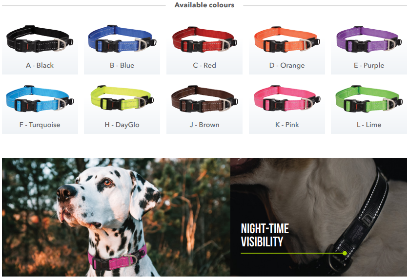 🔥50% OFF Sale: Pawsome Collar & ID Tag Combo