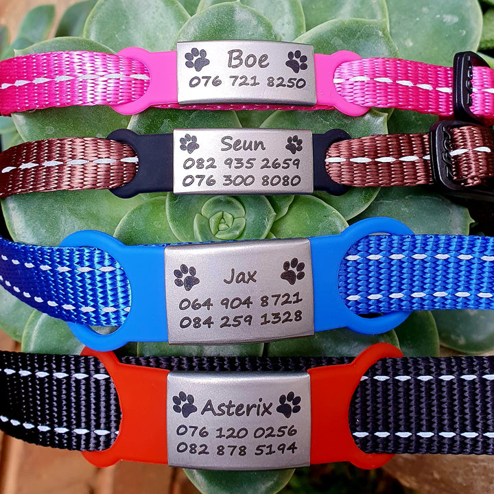 Combos Pawsome Tags & Collars