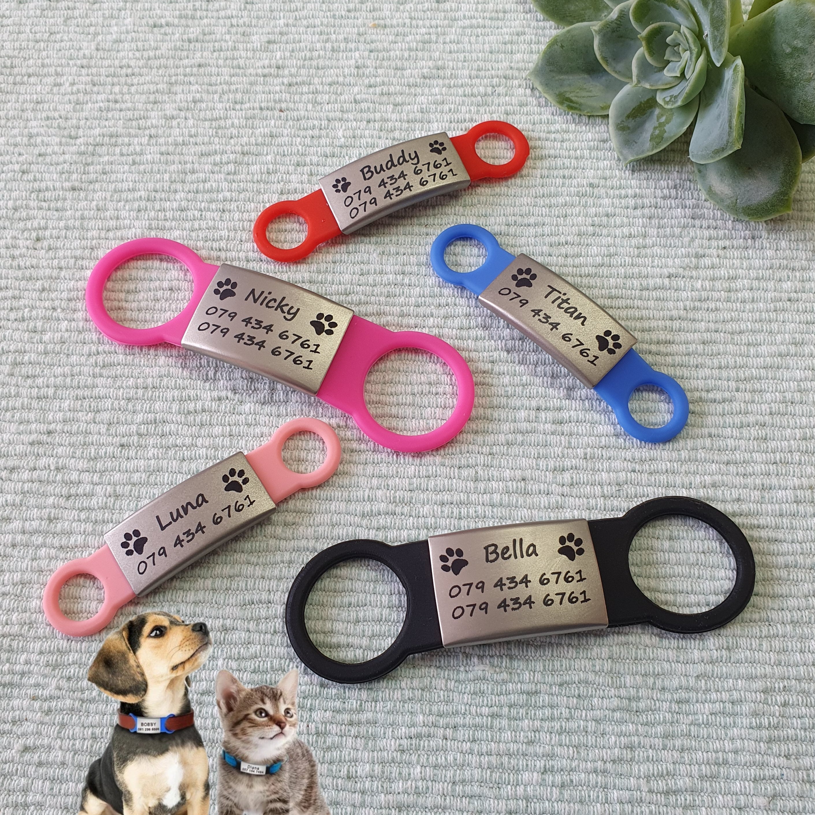 Order dog deals id tags