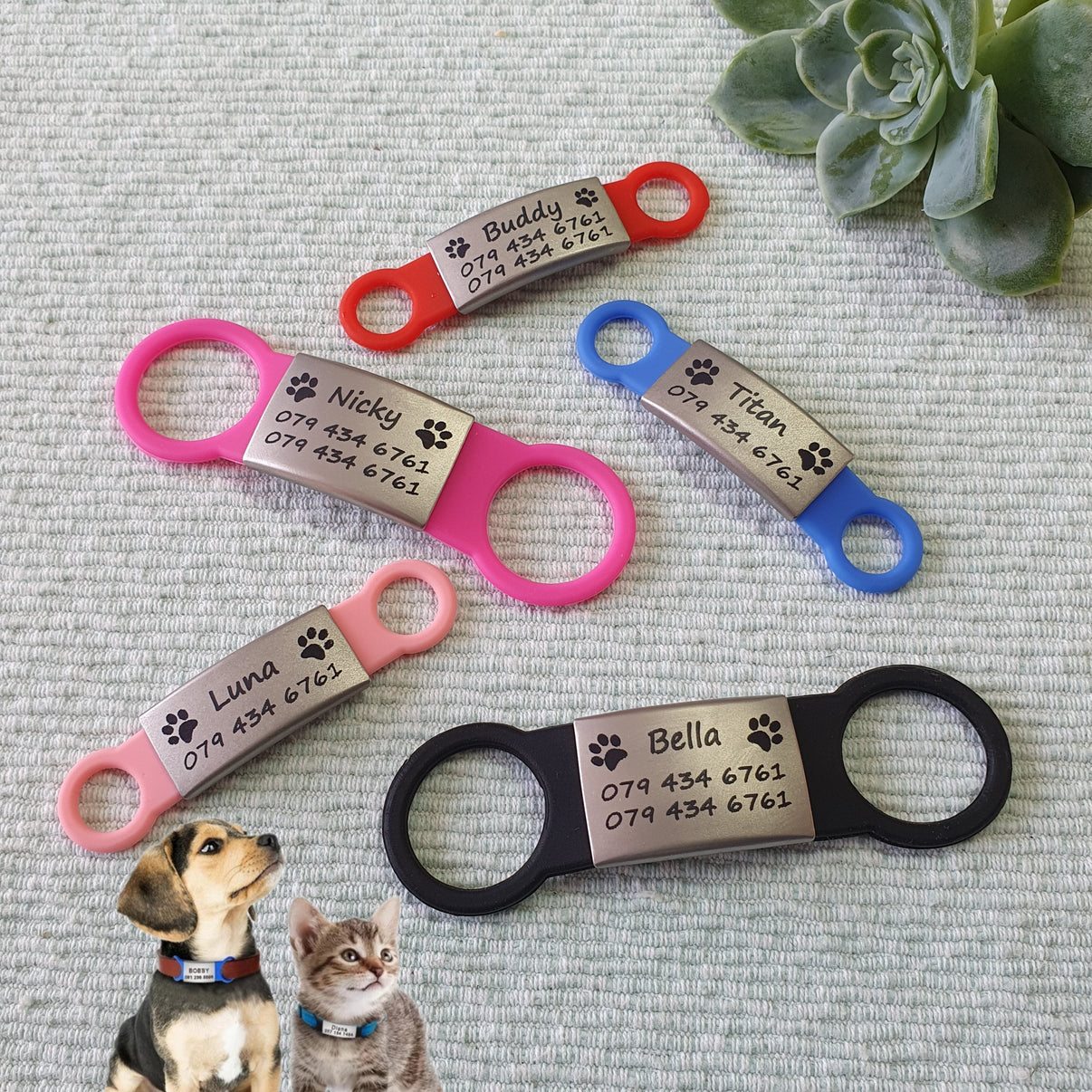 🔥50 OFF Sale Custom Slideon Pet ID Tag Pawsome Tags & Collars